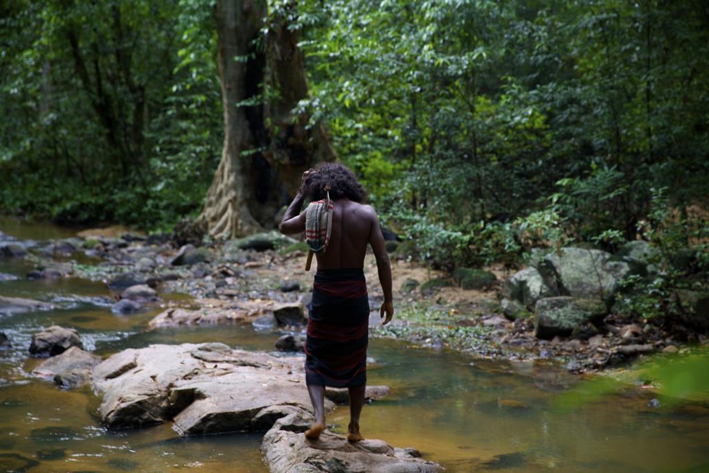 Gal Oya Lodge Galgamuwa  Rum bild