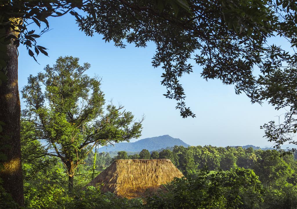 Gal Oya Lodge Galgamuwa  Rum bild