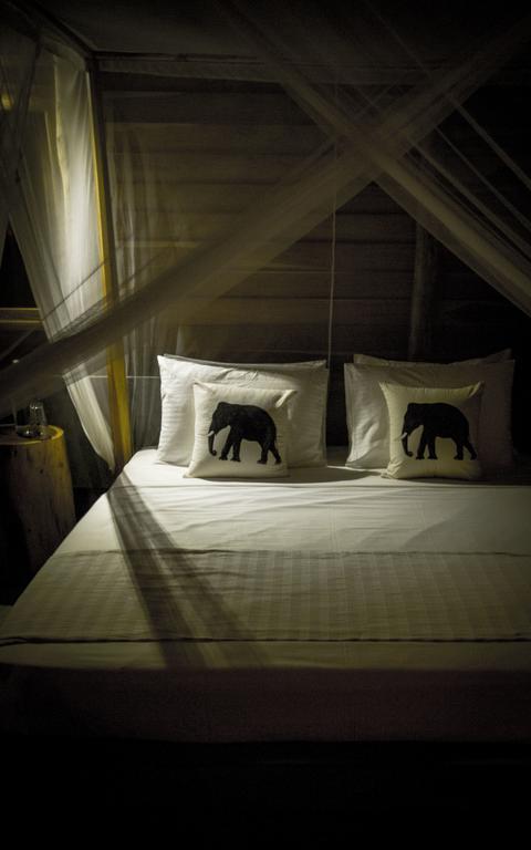 Gal Oya Lodge Galgamuwa  Rum bild